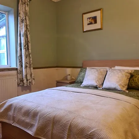 Guest Guest house