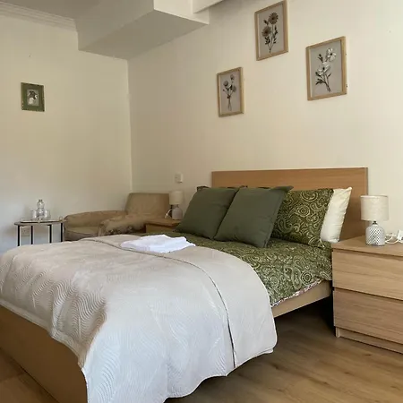 Guest Guest house *